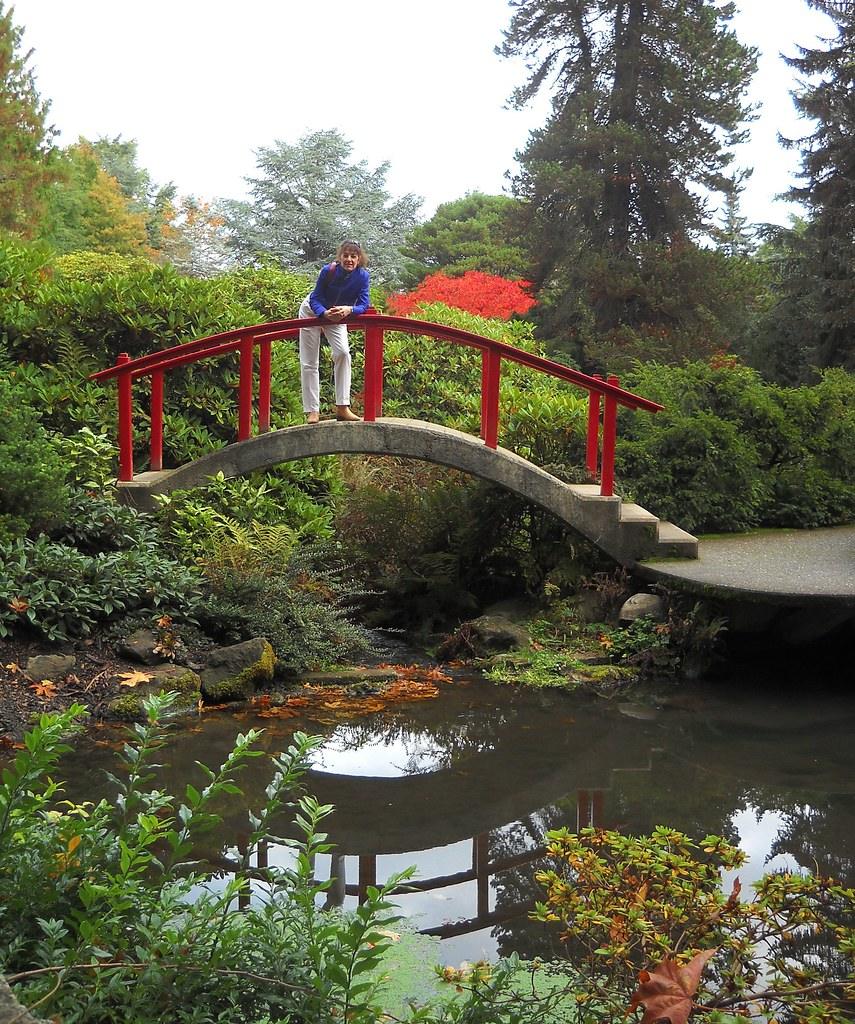 Professional garden landscaping with lush design