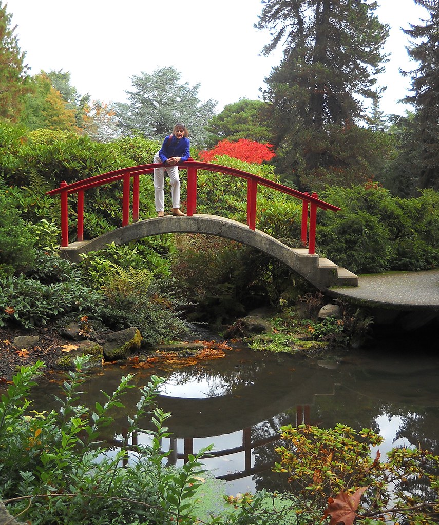 Professional garden landscaping with lush design